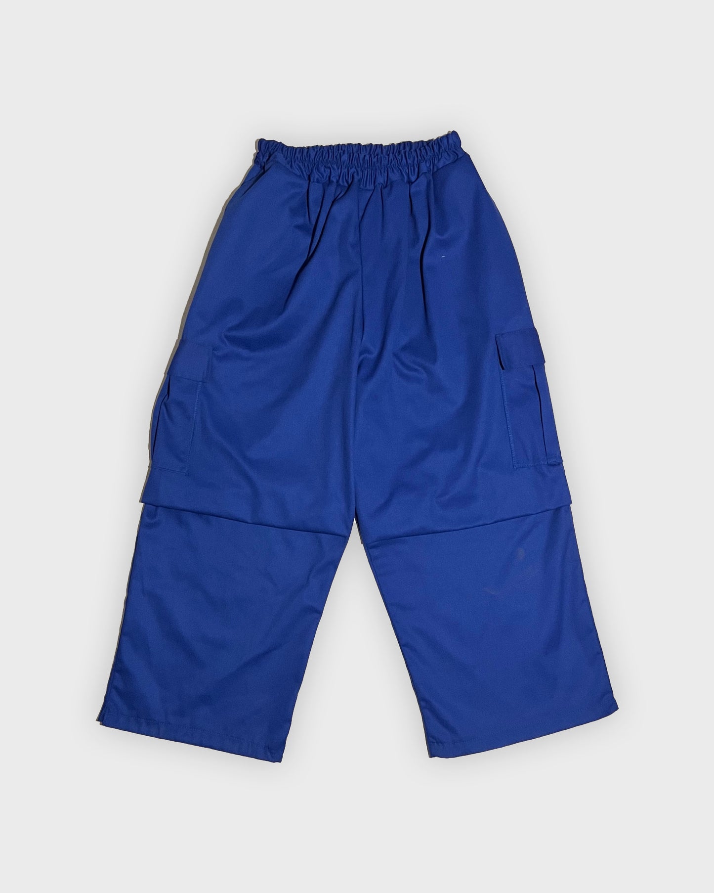 CARGO PANTS (BLUE)